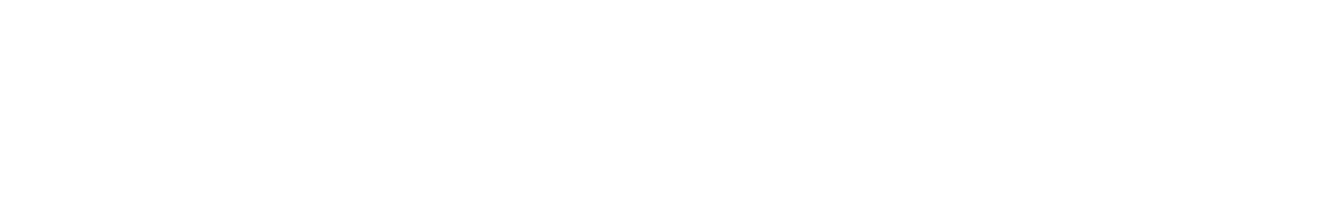 Nighthawk Partners logo